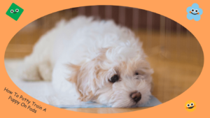 "Golden Retriever puppy using a potty training pad indoors."